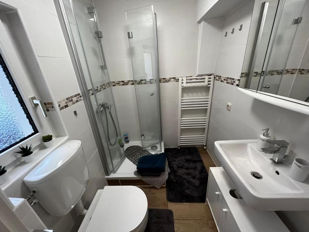 Appartement Conan Auerbach (Vogtland)